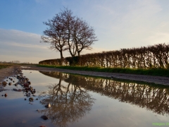 Thema-Winter-januari-Tonny de Rooij