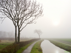 Thema-Winter-januari-Tonny de Rooij