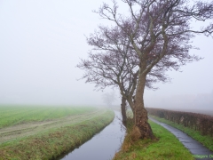 Thema-Winter-januari-Tonny de Rooij