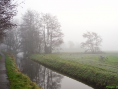 Thema-Winter-januari-Tonny de Rooij
