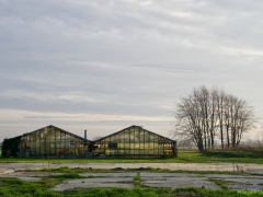 Thema-Winter-januari-Tonny de Rooij