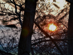 DSC_0176