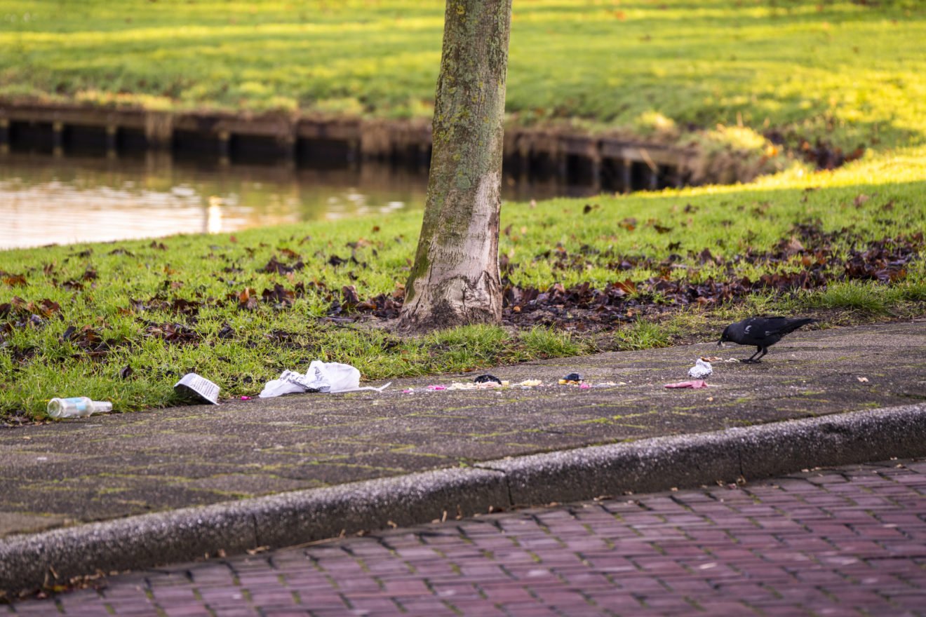Zwerfafval in Hillegom