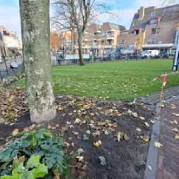 Voortuin Maartenskerk opgeknapt