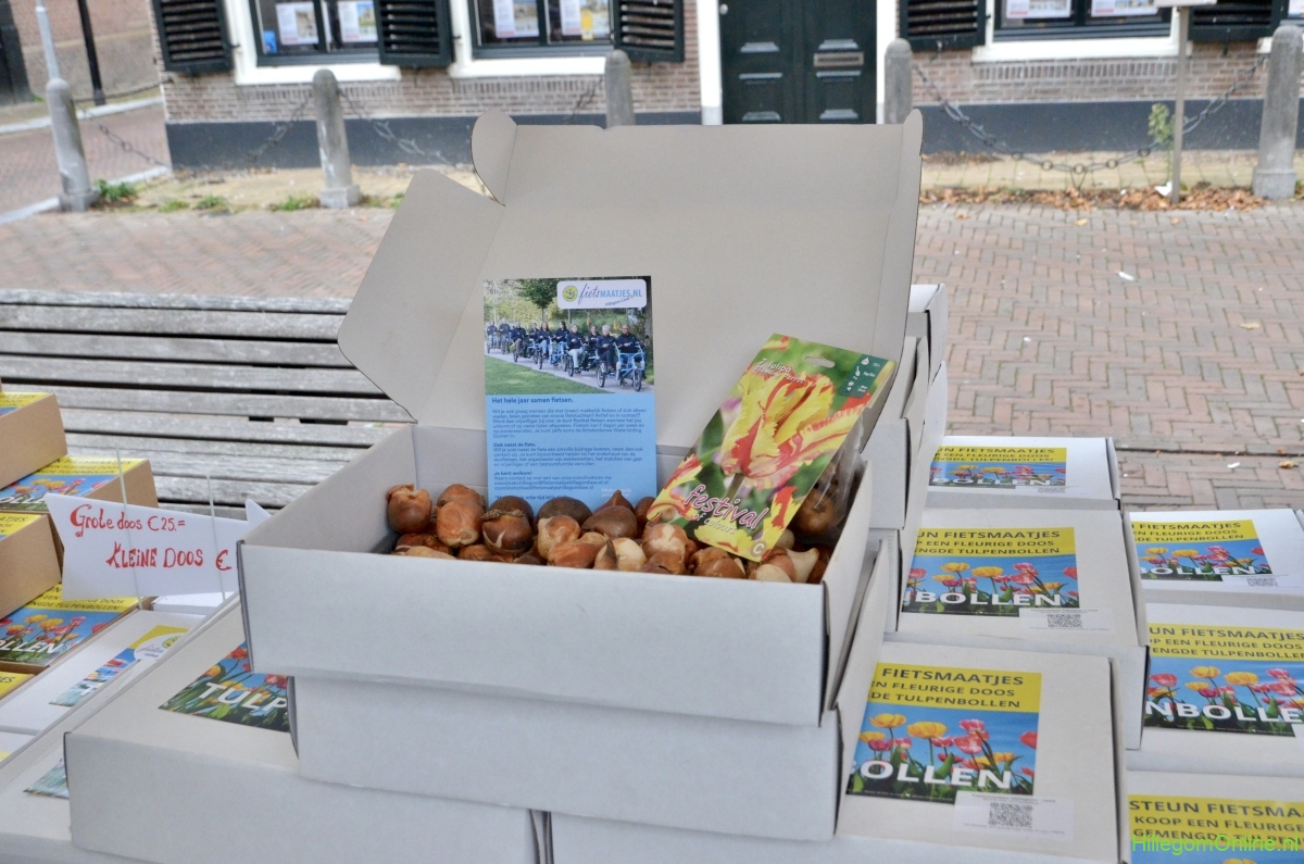 Bollenmarkt in Hillegom op 10 oktober met speciale actie