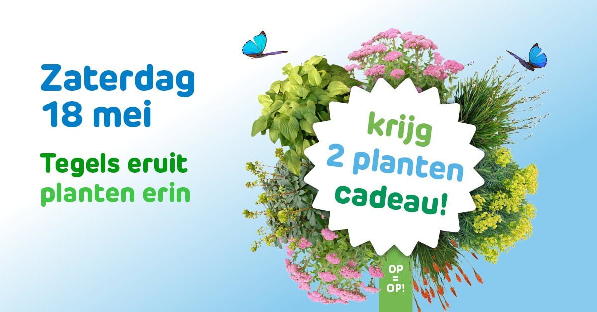 Ruil je tegels in voor gratis plantjes!