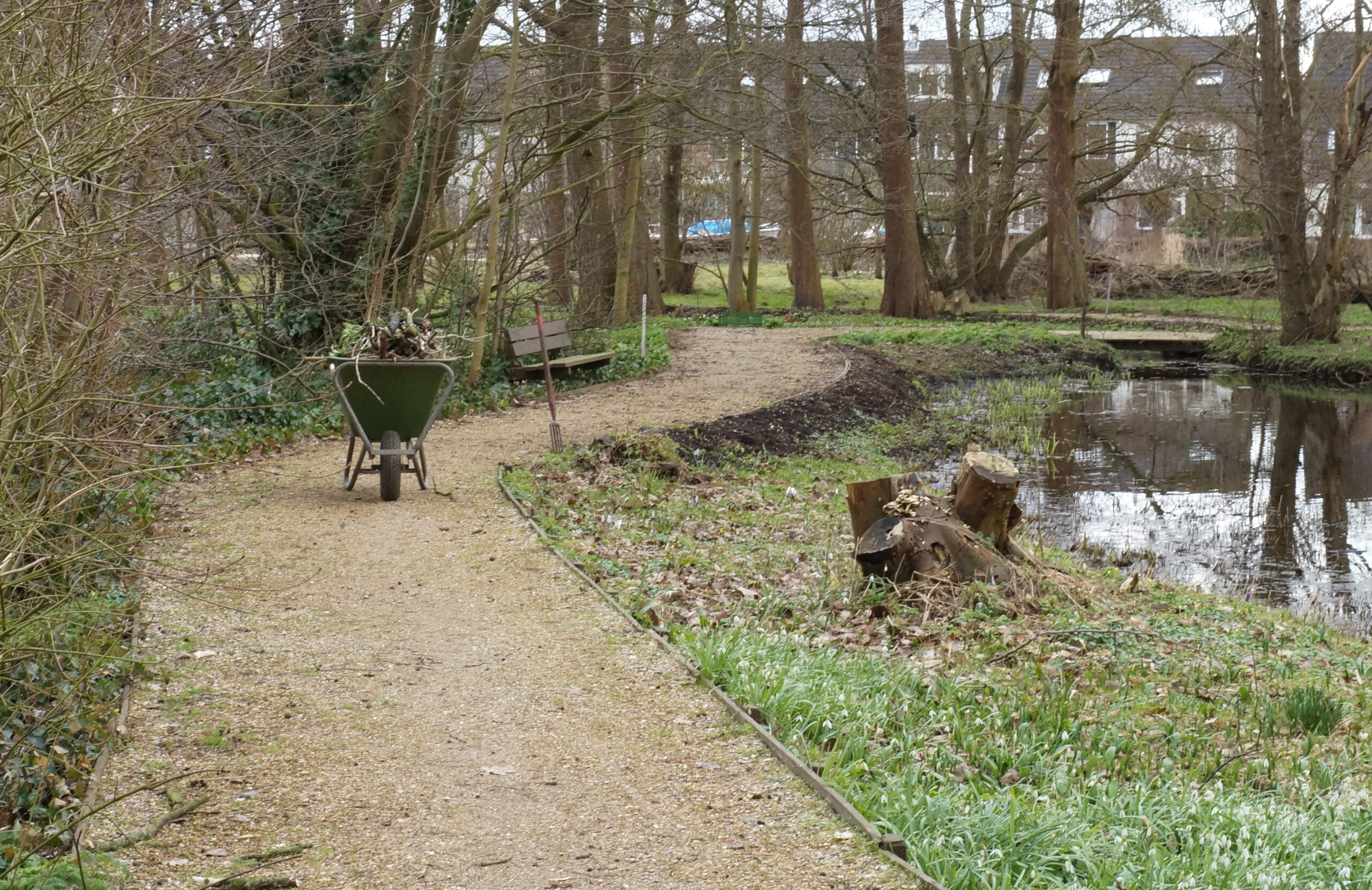 Hillegomse Heemtuin 7 april weer open – Kom Daslook plukken!