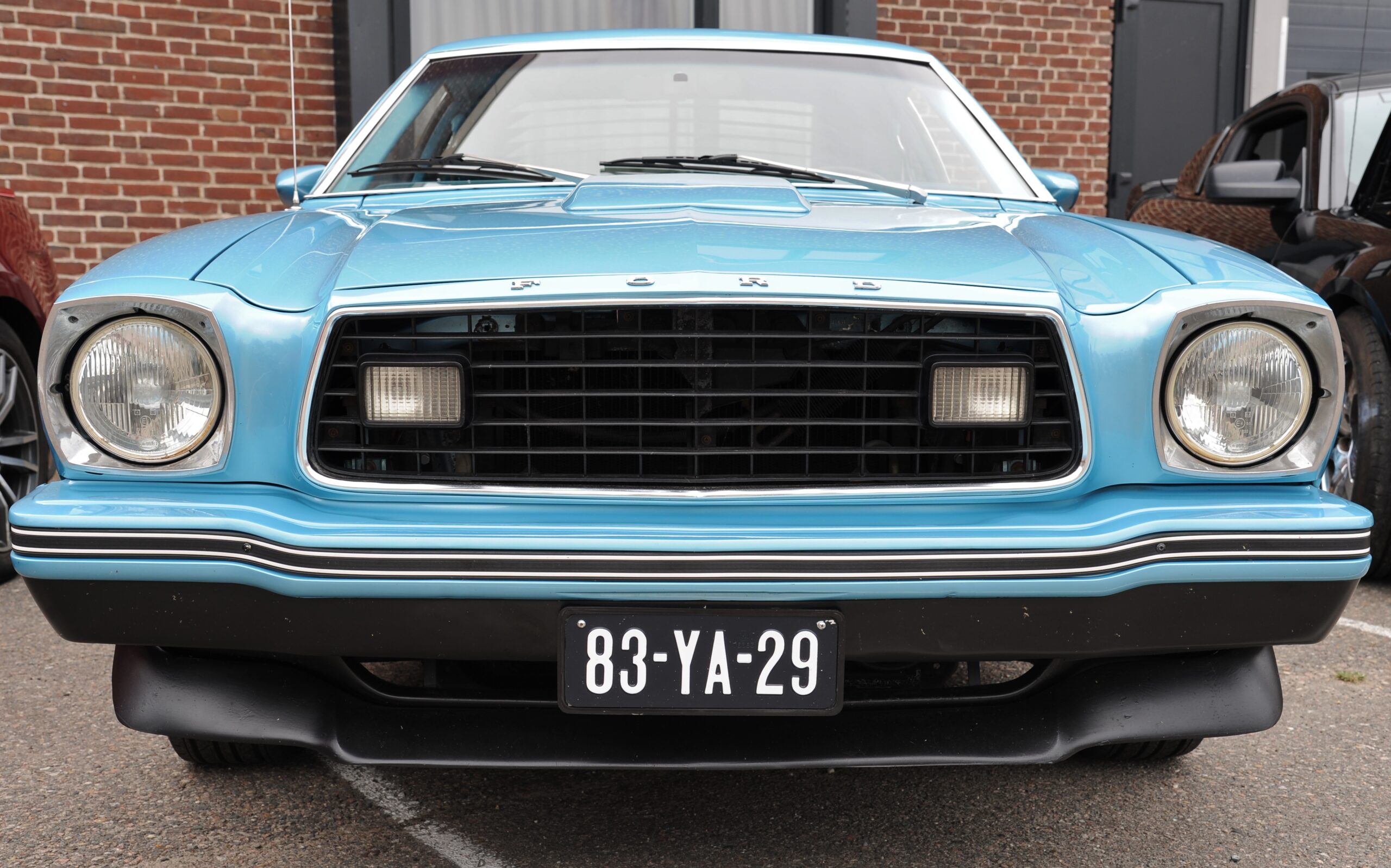 Mustangs pronken bij Brouwerij Klein Duimpje