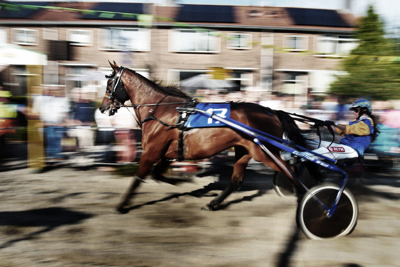 Kortebaandraverij 2023