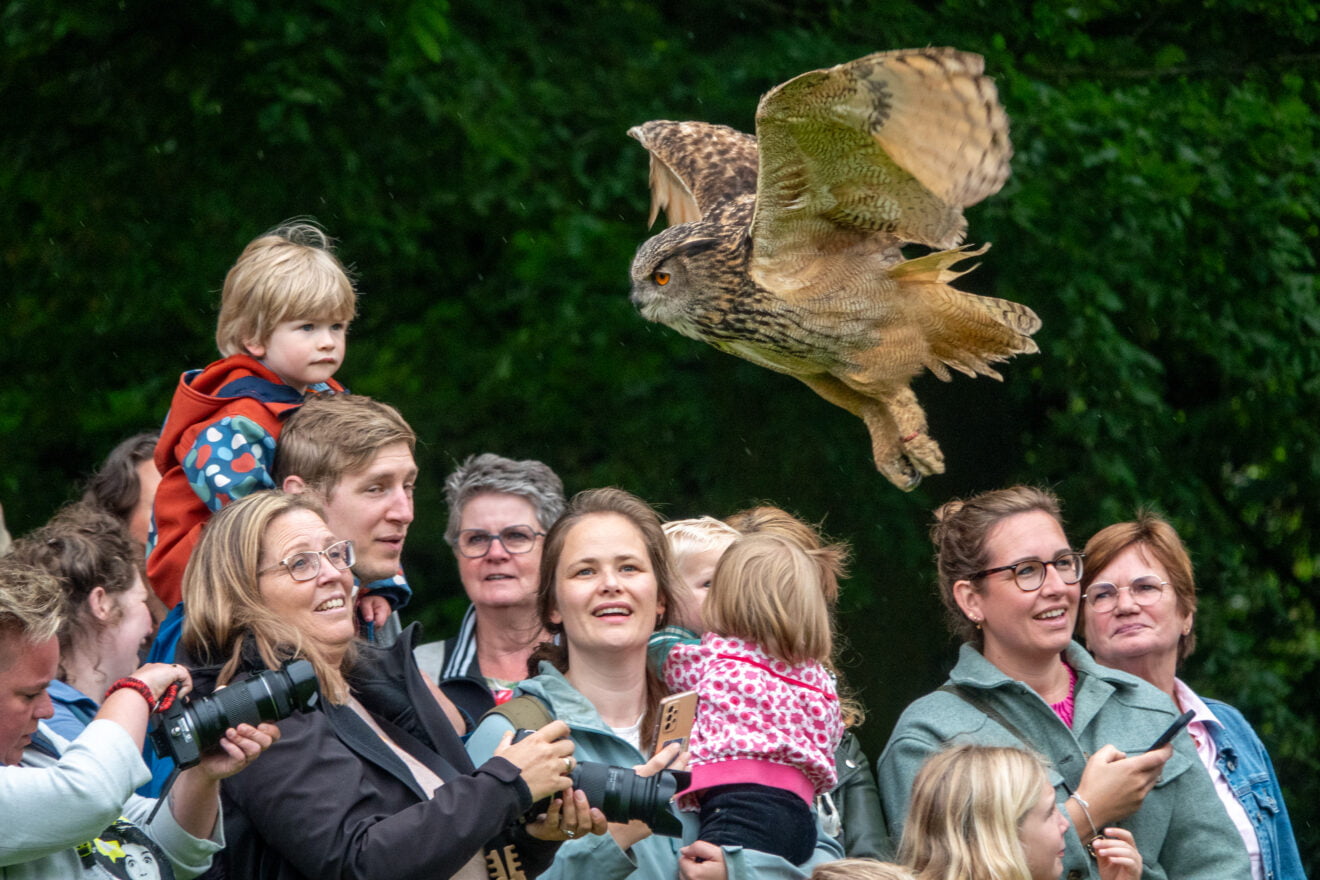 Roofvogelshow Keukenhof