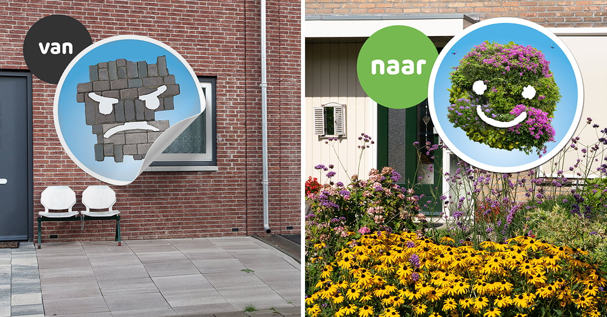 Help mee met meer groene tuinen Hillegom