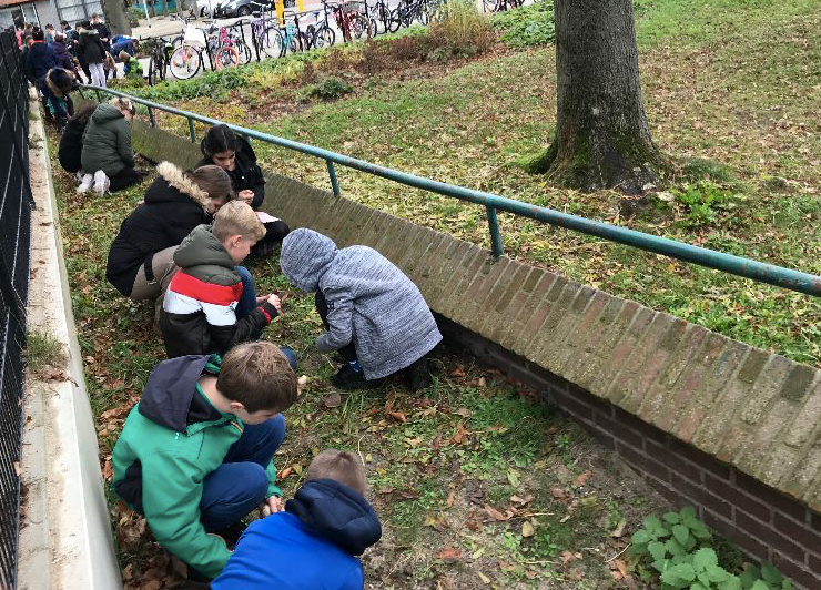 Daltonschool Hillegom zet de bloemetjes buiten