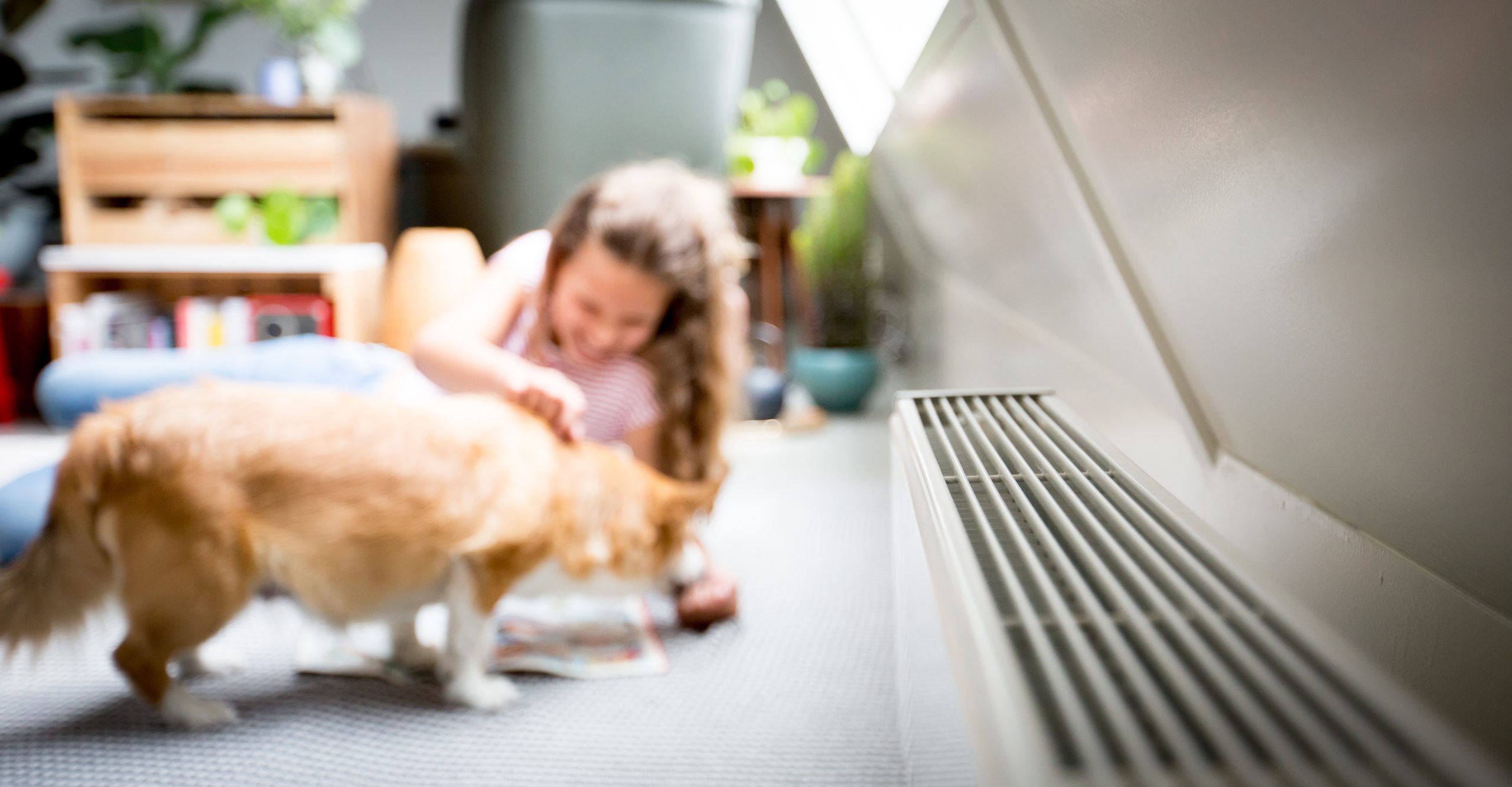 Warmtenet op aardwarmte kansrijke optie voor Bollenstreek