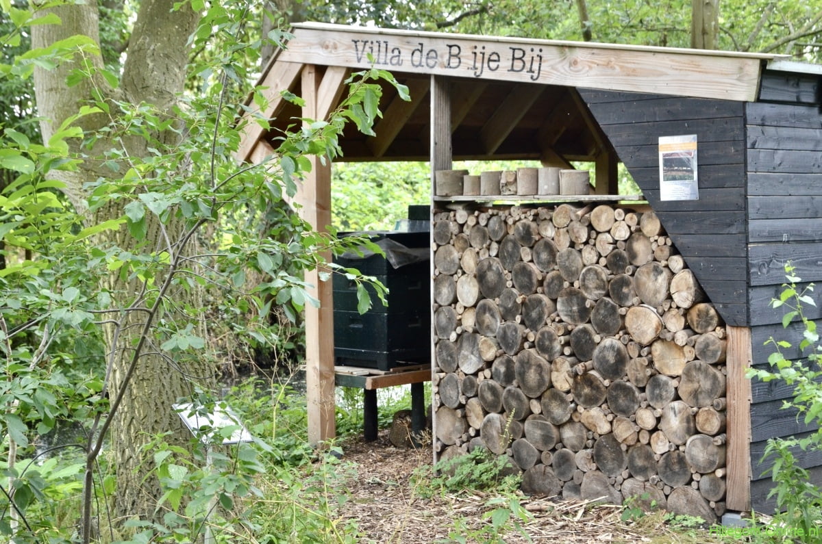 Leerzame imkerijdag in de Heemtuin