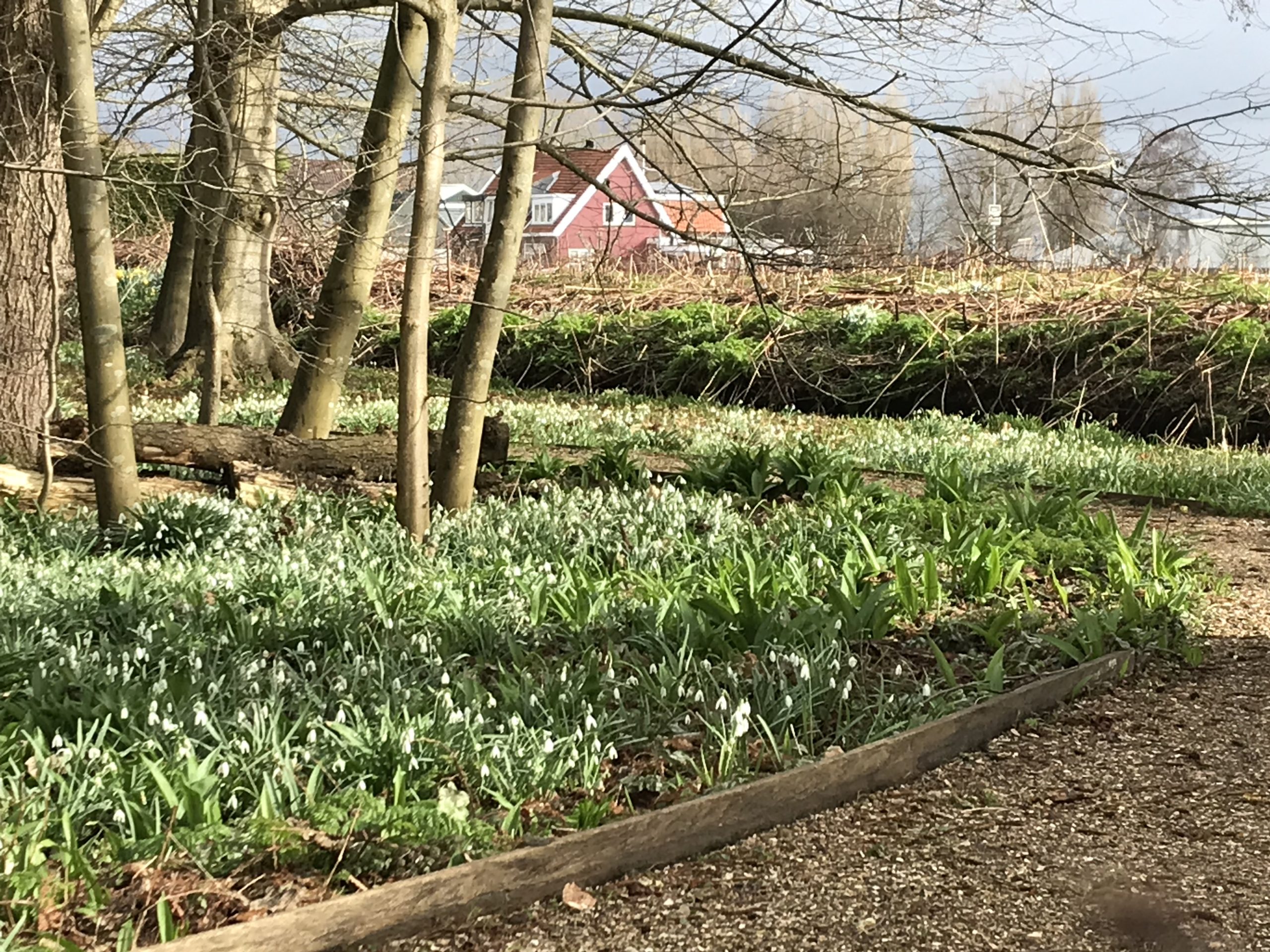 De Hillegomse Heemtuin gaat weer open!