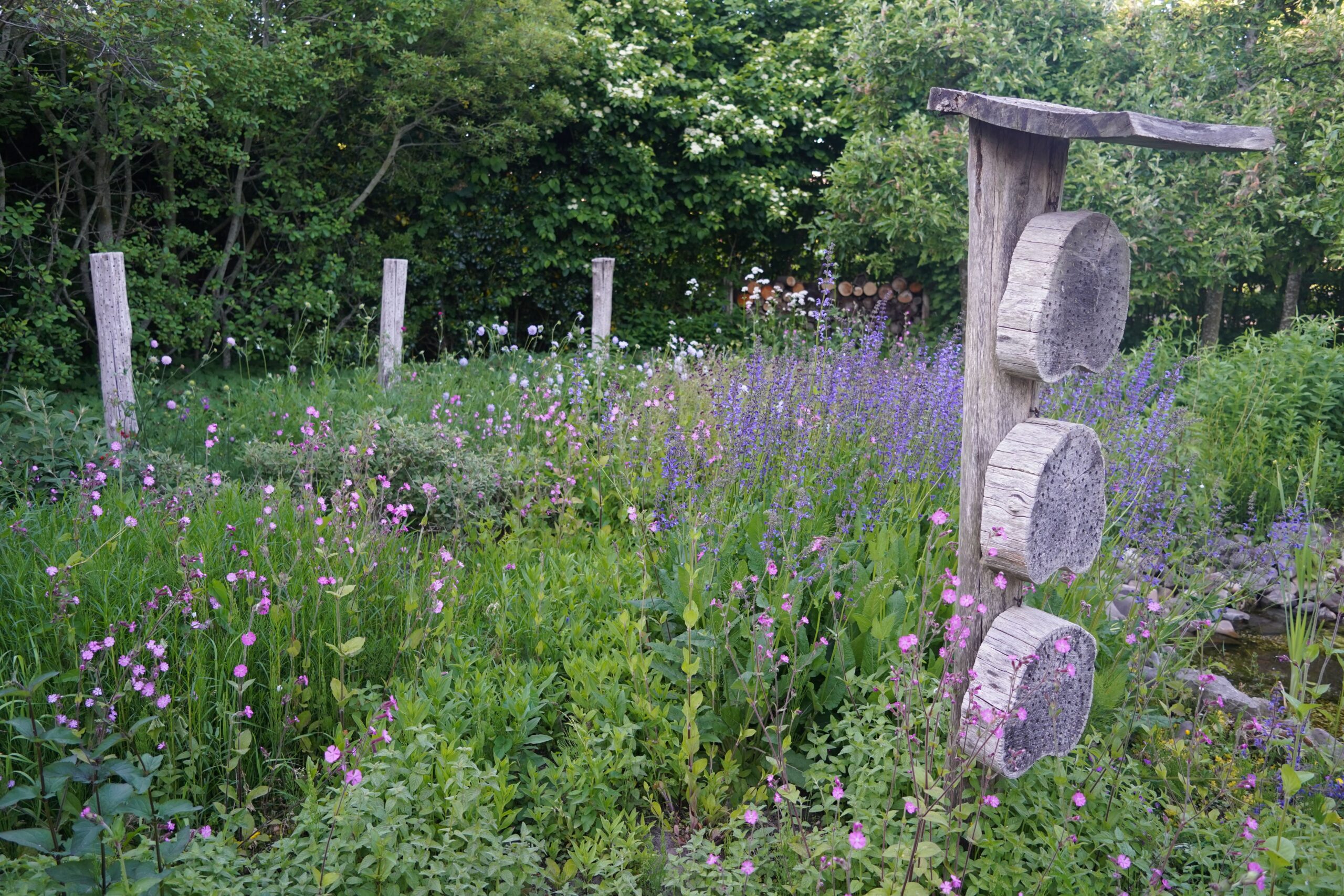 Hoe groen is uw tuin? Vul het Tuinlabel in en win een regenton
